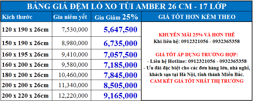 Đệm LX túi AMBER 26cm