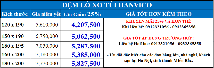 Đệm Lò Xo Túi Hanvico