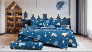 Bộ Blue Sky – DLS235