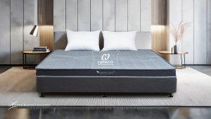 Đệm Foam GREENCORE2 9cm (2 mảnh)